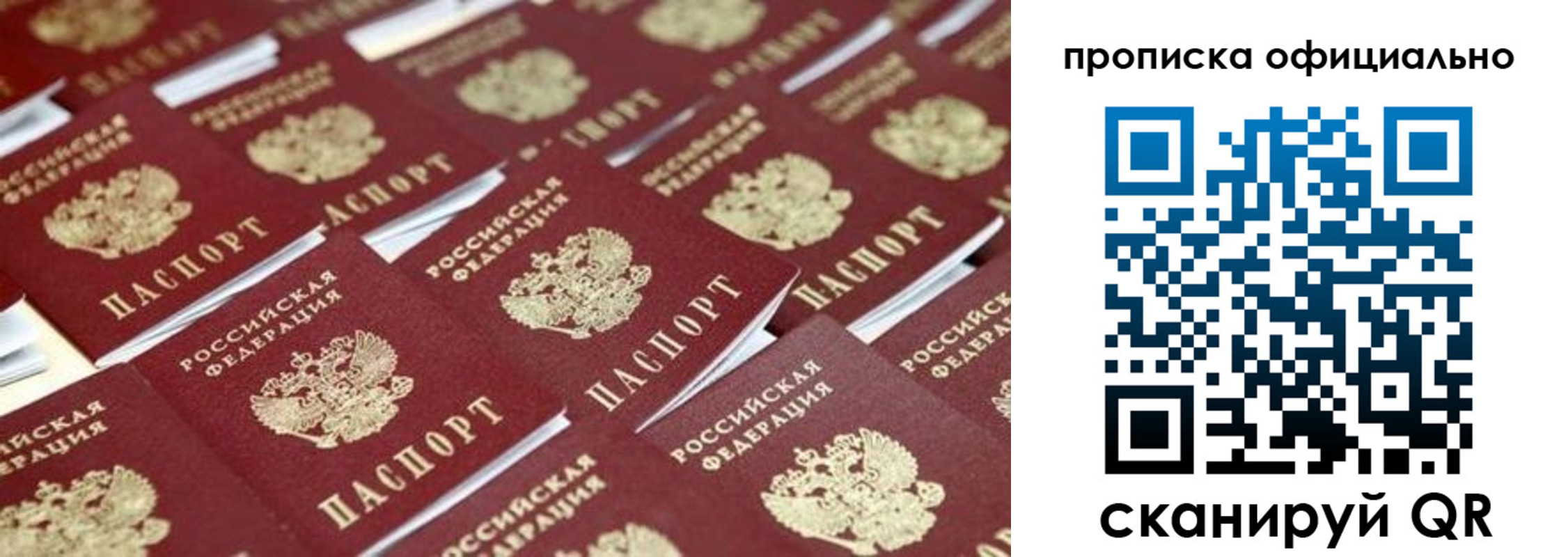 прописка гарантия в Железногорске